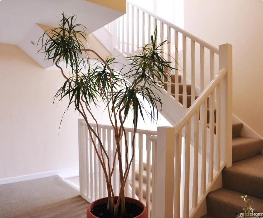 Smythen St, 2 Bed Apartment With Balcony Exeter Extérieur photo